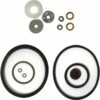 Chapin International 6-4627 Seal And Gasket Kit,Black -Swan Sales Shop Cha 64627