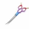 Groomtech Hummingbird Asian Fusion Curved Shears 6.5" [Blue Purple Red] -Swan Sales Shop GT HU265CY