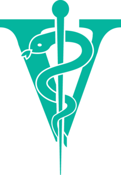 Joyzze Hornet Mini Trimmer 2 Speed [Purple] -Swan Sales Shop JY 99028 8