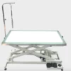 Shernbao Electric Lifting Table With LED Light -Swan Sales Shop S FT829