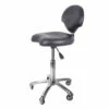 Groomer's Stool With Back With Planetary Casters -Swan Sales Shop S GC001SW