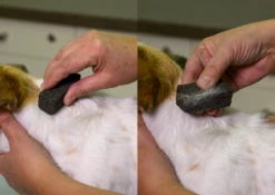 Show Tech Stripping Stone 9x6x2.5cm -Swan Sales Shop ST 90070 2