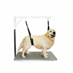 Show Tech Comfort Belly Strap For Small Dog