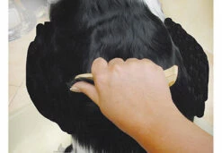 Show Tech Ultra Pro Set Of 4 Stripping Knife -Swan Sales Shop ST 93581 6