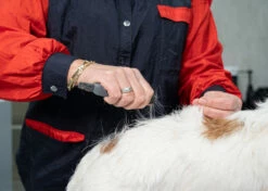 Show Tech Comfy Stripping Stick 13mm Double Sided -Swan Sales Shop ST 95086 2