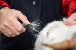 Show Tech Comfy Stripping Stick 13mm Double Sided -Swan Sales Shop ST 95086 3