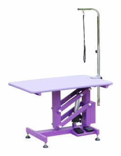 Aeolus Classic Z Shape Electric Lifting Table - Medium [Purple] -Swan Sales Shop T FT802E PP 1