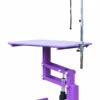 Aeolus Classic Z Shape Electric Lifting Table - Medium [Purple] -Swan Sales Shop T FT802E PP