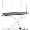 Aeolus Low-Low Electric Lifting Table Eco Version -Swan Sales Shop T FT808 ECO