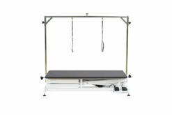 Aeolus Low-Low Electric Lifting Table Eco Version -Swan Sales Shop T FT808 ECO 2
