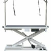 Aeolus Low-Low PRO Electric Lifting Table With Air Switch -Swan Sales Shop T FT808Pro A