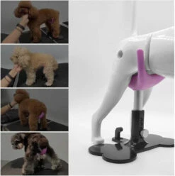 Aeolus Dog Grooming Stand / Saddle For Holding Dogs -Swan Sales Shop T FT8108SD S 4