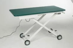 AEOLUS Electric Competition Table -Swan Sales Shop T FT833E 5