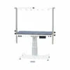 Aeolus Rectangle Grooming Table With Vertical Lift Column -Swan Sales Shop T FT891