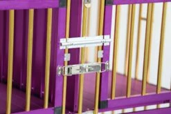 Aeolus 4-Berth Show Trolley With 6" Rubber Wheels - Large [Gold And Purple] -Swan Sales Shop T KB511NAF GP Kit6W 1