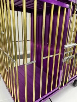 Aeolus 2-Berth Show Trolley With 6" Rubber Wheels [Gold And Purple] -Swan Sales Shop T KB511NAT GP Kit6W 5