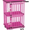 Aeolus 2-Berth Double Deck Show Trolley With 4" Nylon Wheels - XSmall [Pink] -Swan Sales Shop T KB514NAT PK Kit