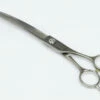 KissGrooming 5 Star Scissors Curved 8" -Swan Sales Shop T KS35380