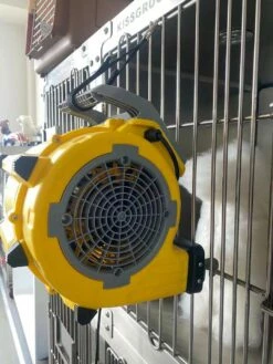 Aeolus Mini Cage Dryer -Swan Sales Shop T TD903Mini 5