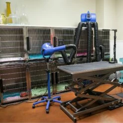 XPower Pro Finishing Plus Anionic Stand Dryer B18 14 XPower Pro Finishing Plus Anionic Stand Dryer B18 -Swan Sales Shop XP B18 5